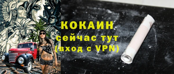 PSILOCYBIN Белокуриха