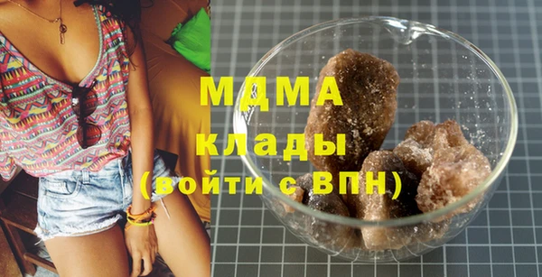 PSILOCYBIN Белокуриха
