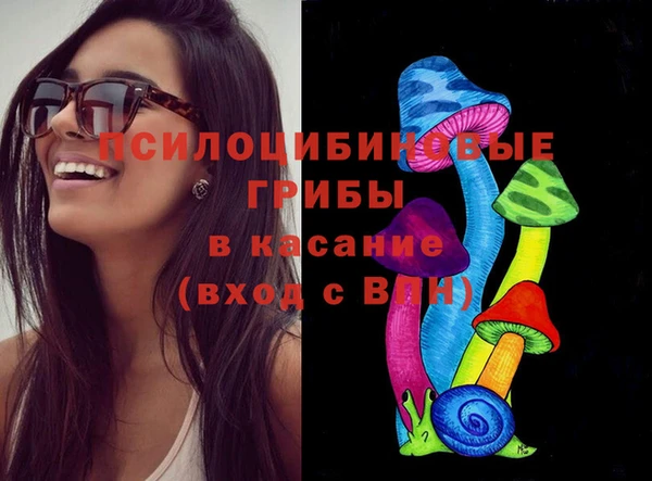 PSILOCYBIN Белокуриха