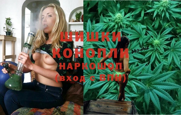 PSILOCYBIN Белокуриха
