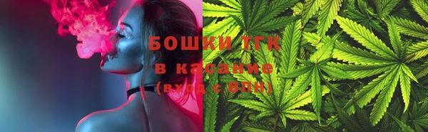 PSILOCYBIN Белокуриха
