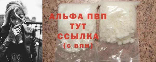 PSILOCYBIN Белокуриха