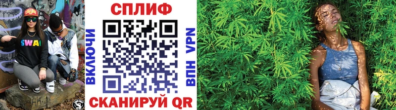 Канабис LSD WEED  продажа наркотиков  Магас 